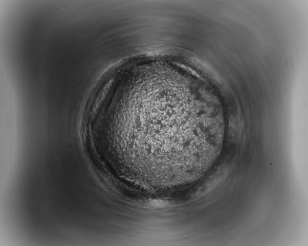 X0000099580592200805301601