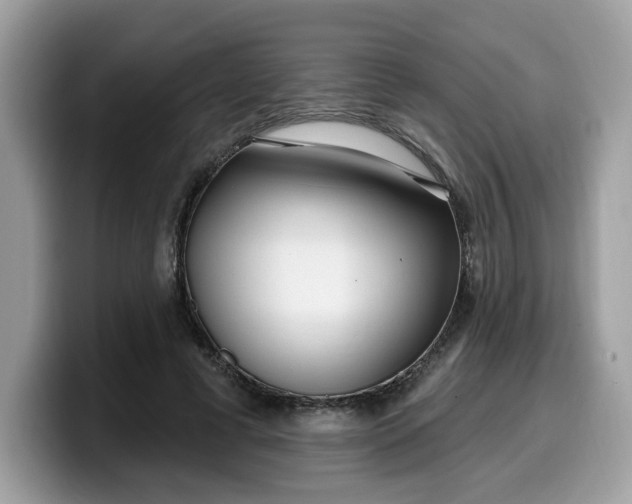 X0000099580593200805301601