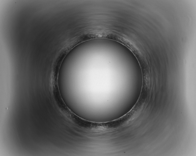 X0000099580594200805301601