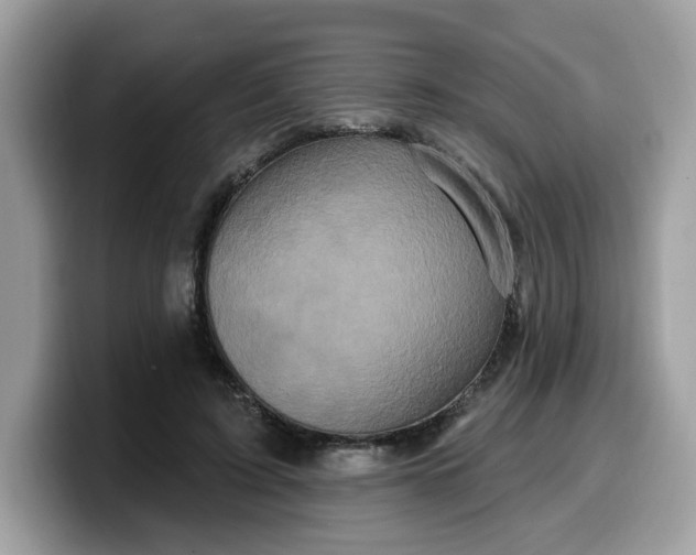 X0000099580595200805301601