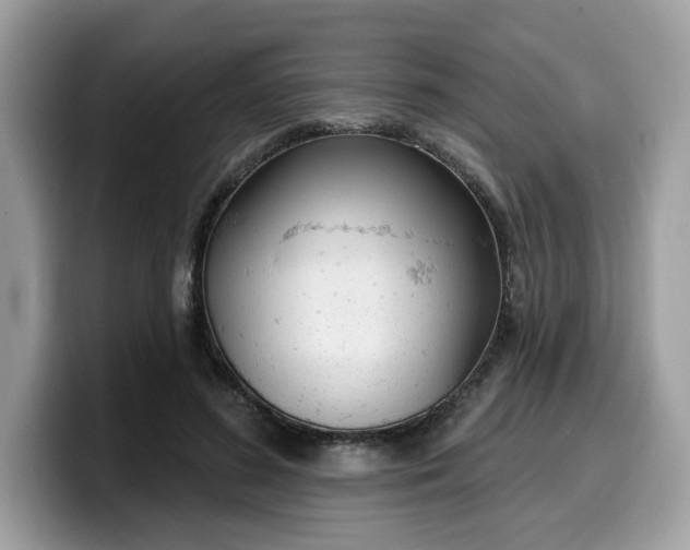 X0000099580596200805301601