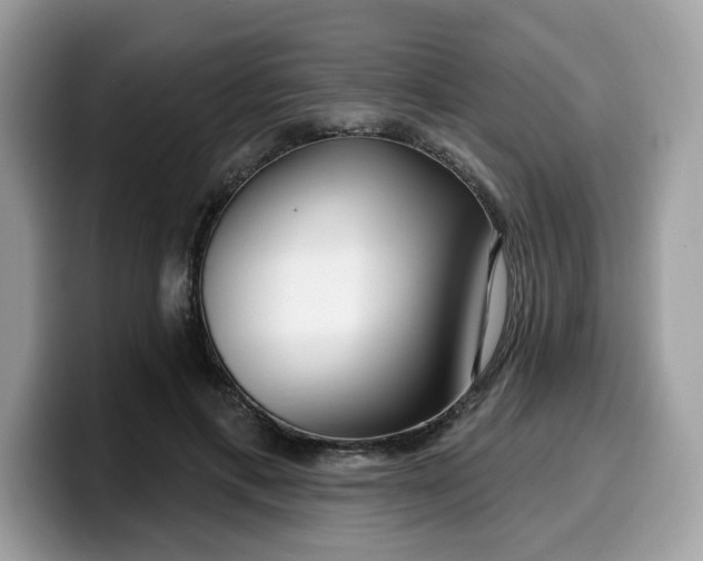 X0000099580597200805301601