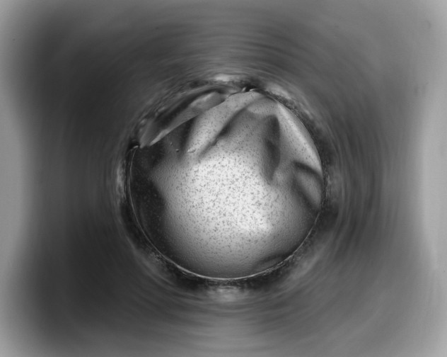 X0000099580598200805301601