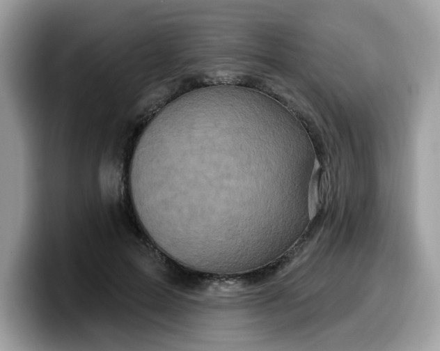 X0000099580599200805301601