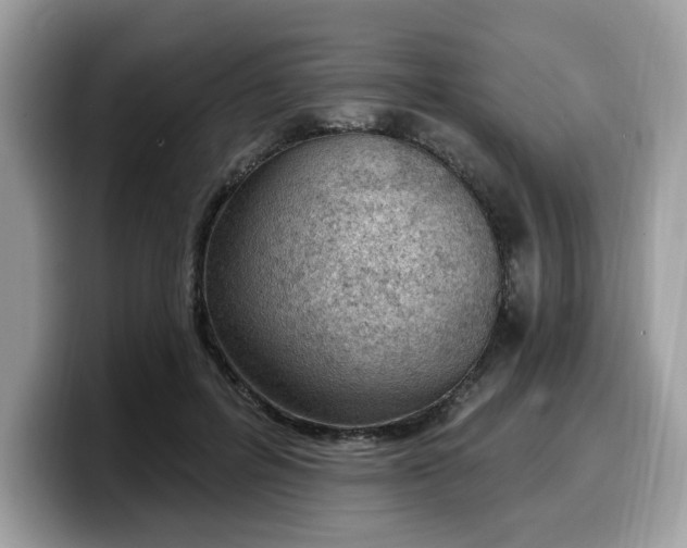 X0000099580600200805301601