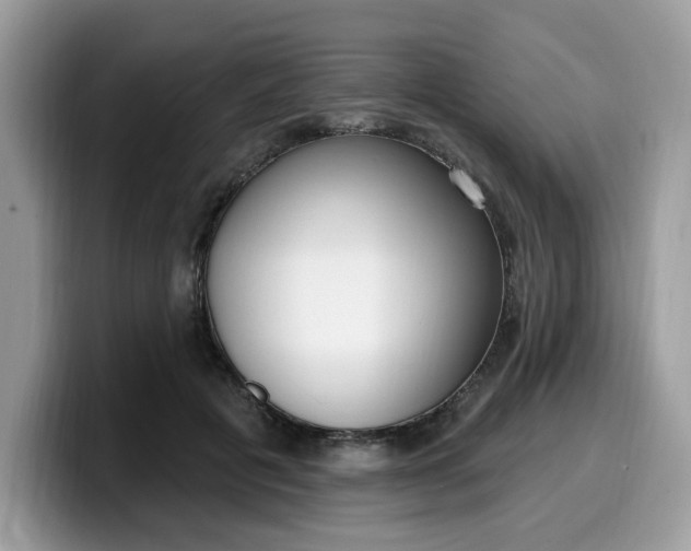 X0000099580601200805301601