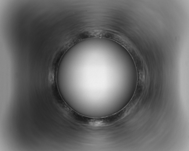 X0000099580602200805301601