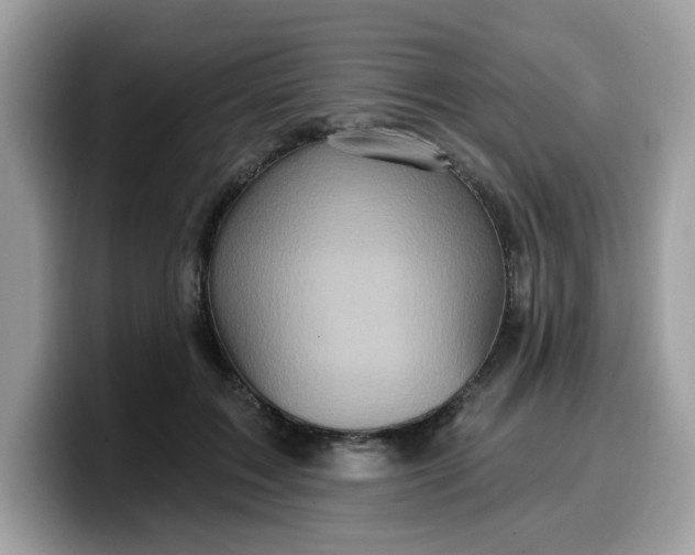 X0000099580603200805301601