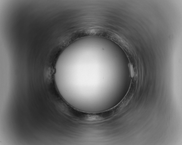 X0000099580605200805301601