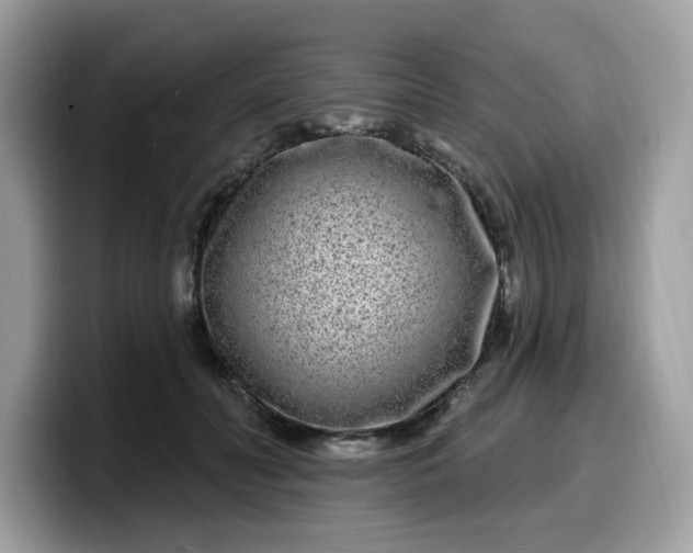 X0000099580606200805301601