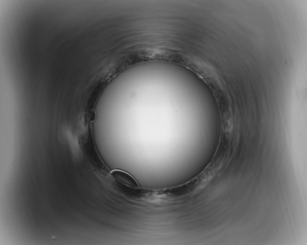 X0000099580607200805301601