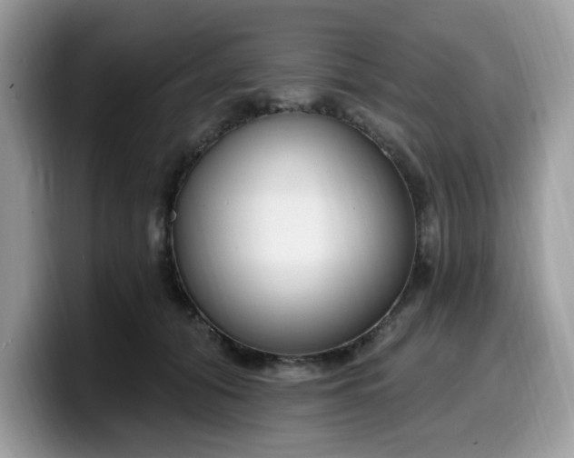 X0000099580608200805301600