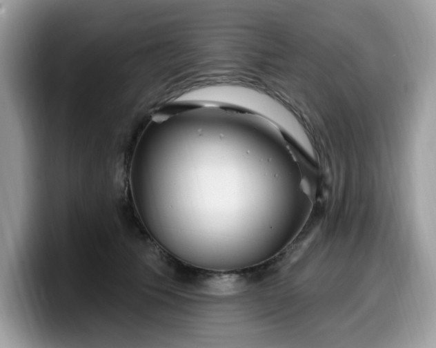 X0000099580609200805301600