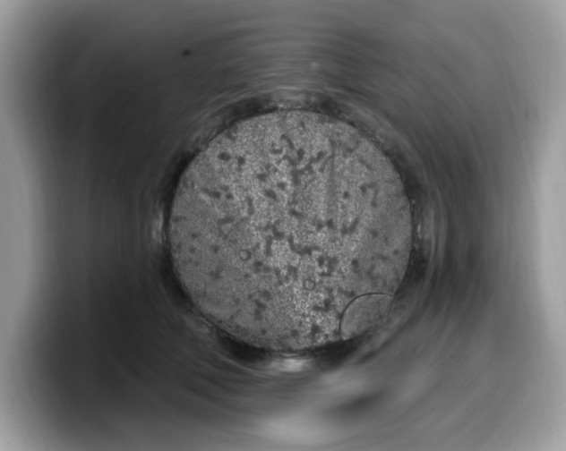 X0000099580610200805301600