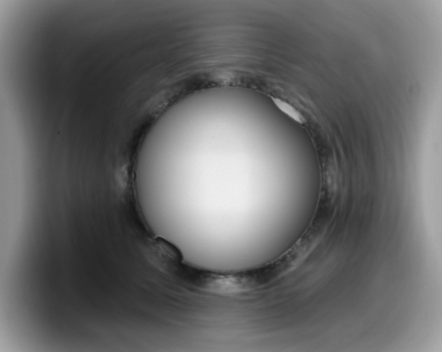 X0000099580611200805301600