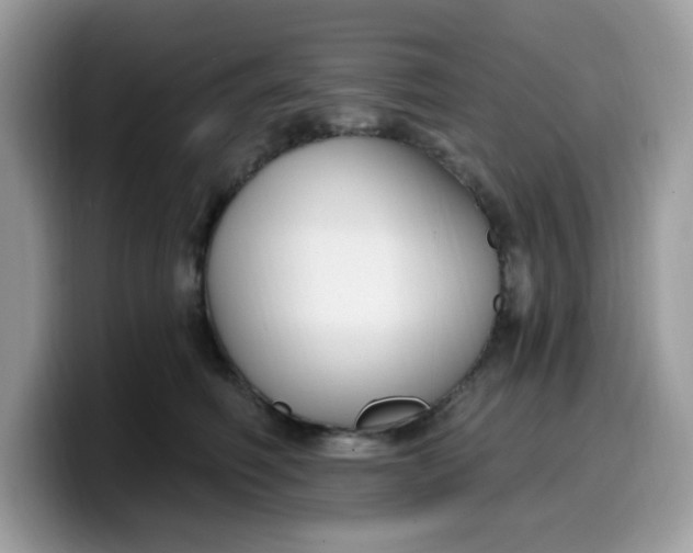 X0000099580614200805301600