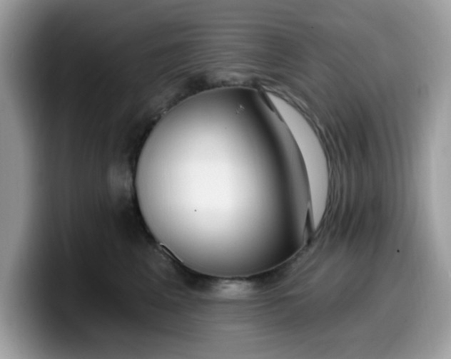 X0000099580617200805301600