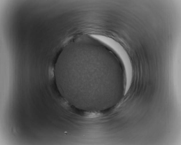 X0000099580621200805301600