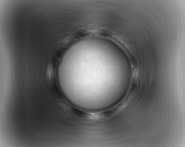 X0000099580623200805301600