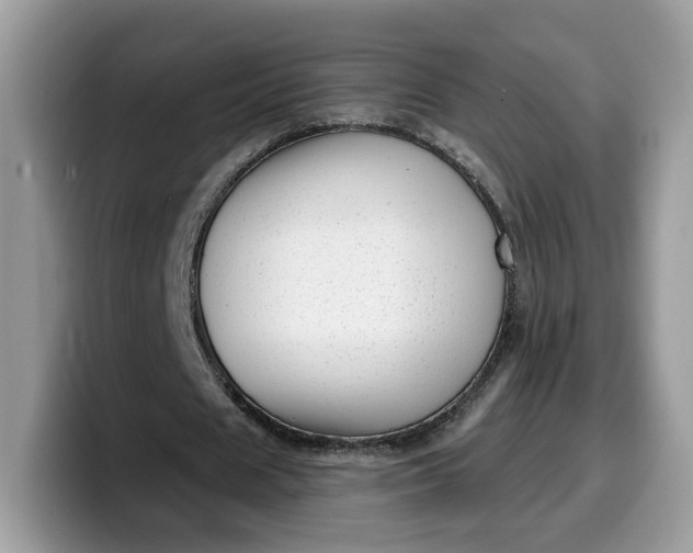 X0000099580625200805301600