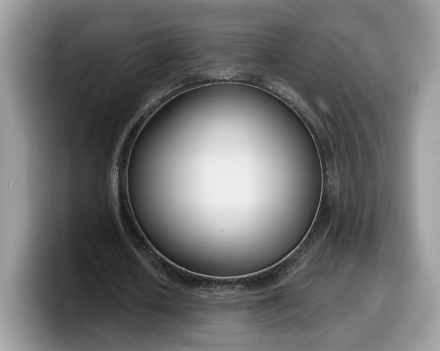 X0000099580626200805301600