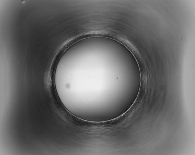 X0000099580628200805301600