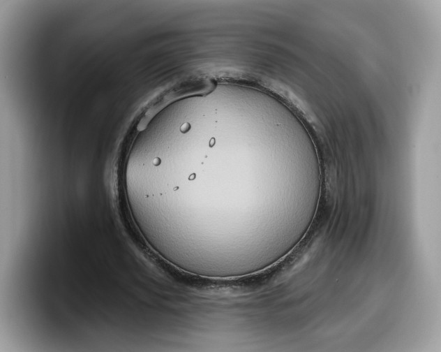 X0000099580629200805301600