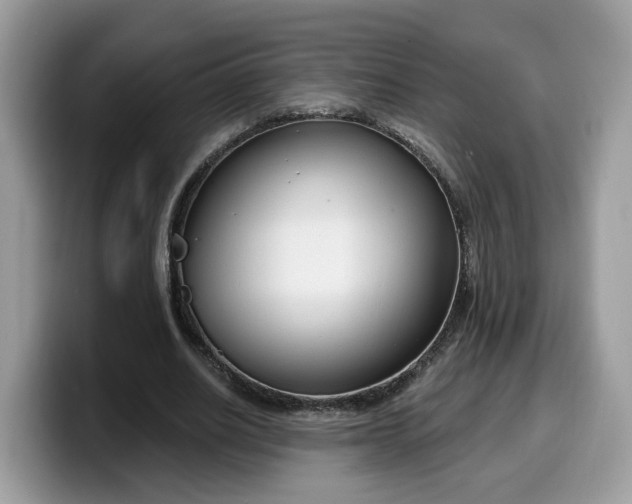 X0000099580630200805301600