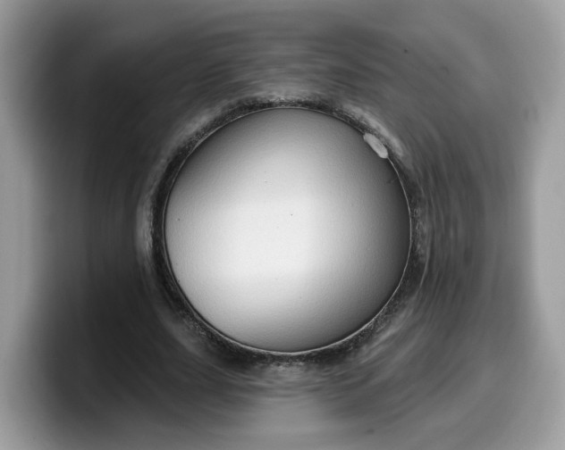 X0000099580631200805301600