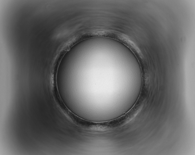 X0000099580633200805301600