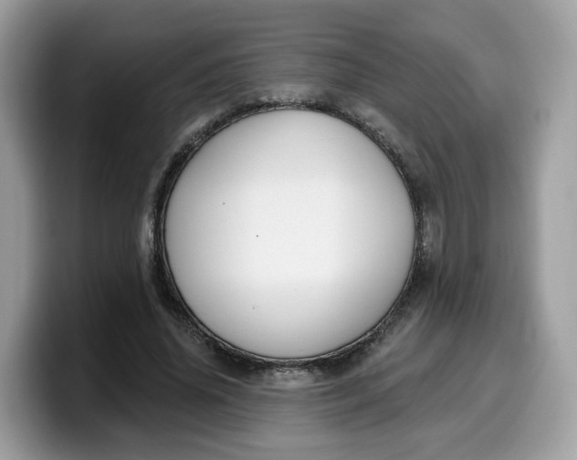 X0000099580636200805301600