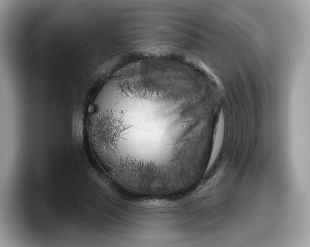 X0000099580637200805301600