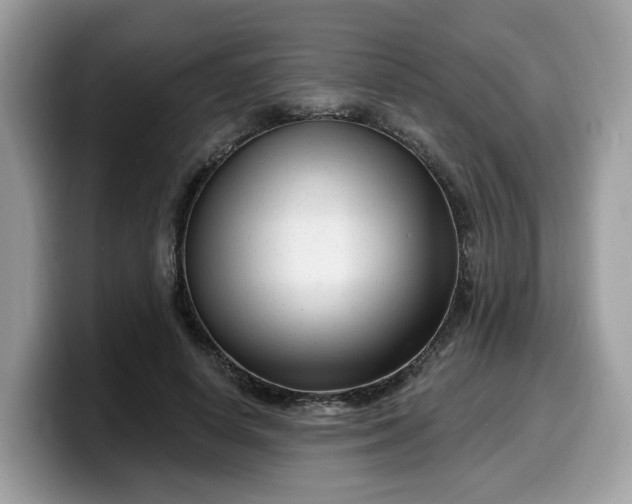 X0000099580642200805301600