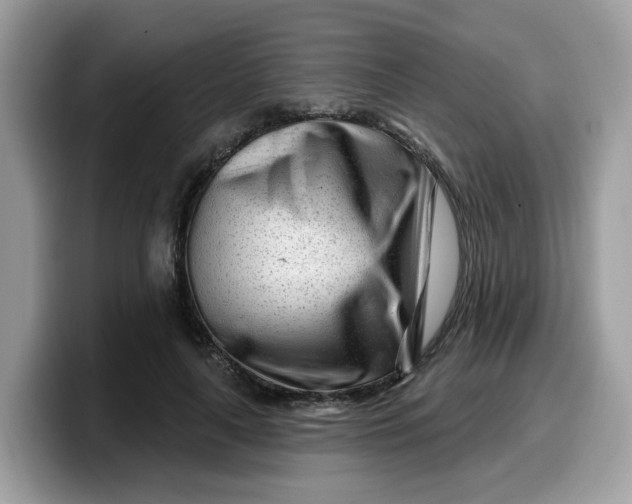 X0000099580643200805301600