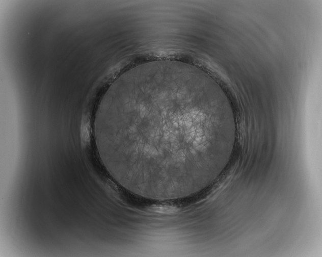 X0000099580644200805301600