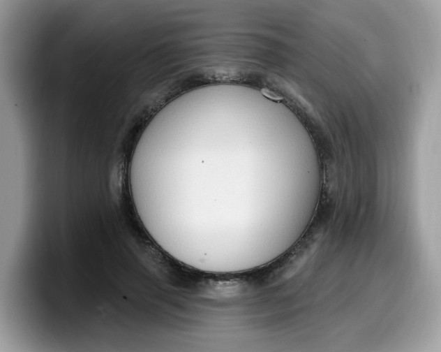 X0000099580645200805301600