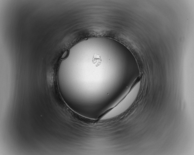 X0000099580647200805301600