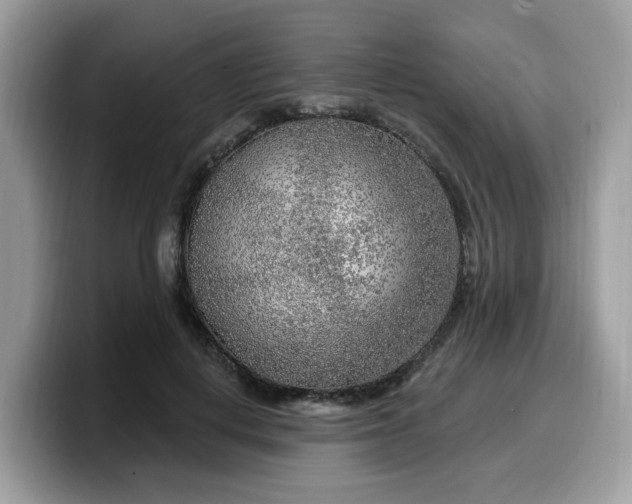 X0000099580648200805301600