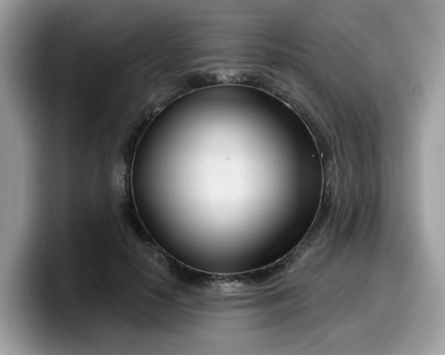 X0000099580650200805301600