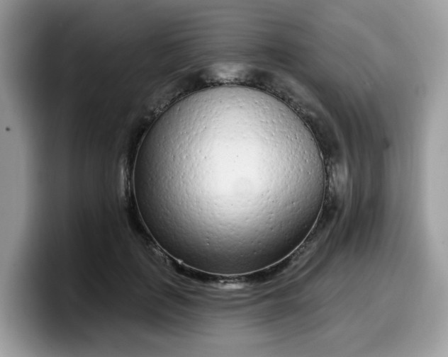 X0000099580651200805301600