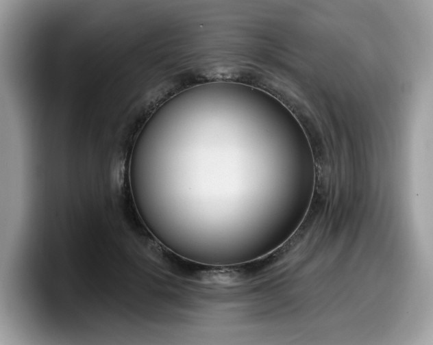 X0000099580652200805301600