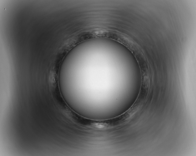 X0000099580654200805301600