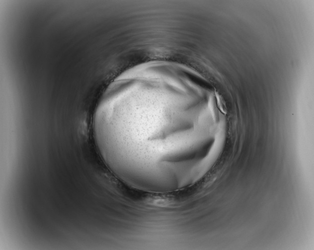 X0000099580655200805301600