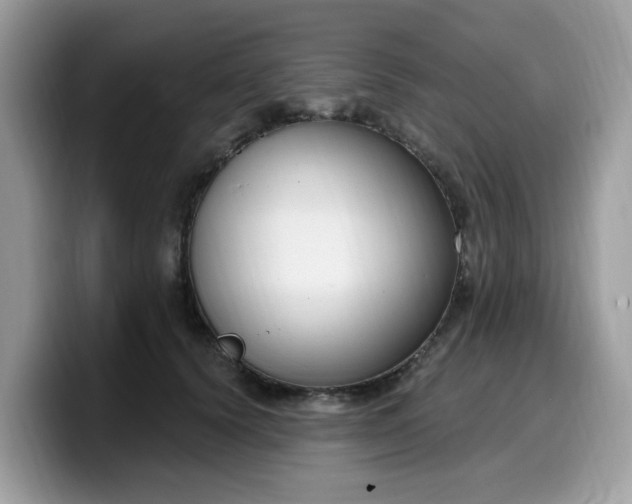 X0000099580656200805301600