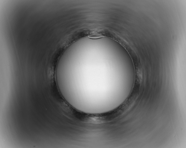 X0000099580657200805301600