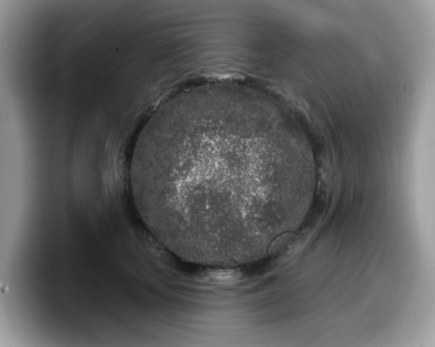 X0000099580659200805301600