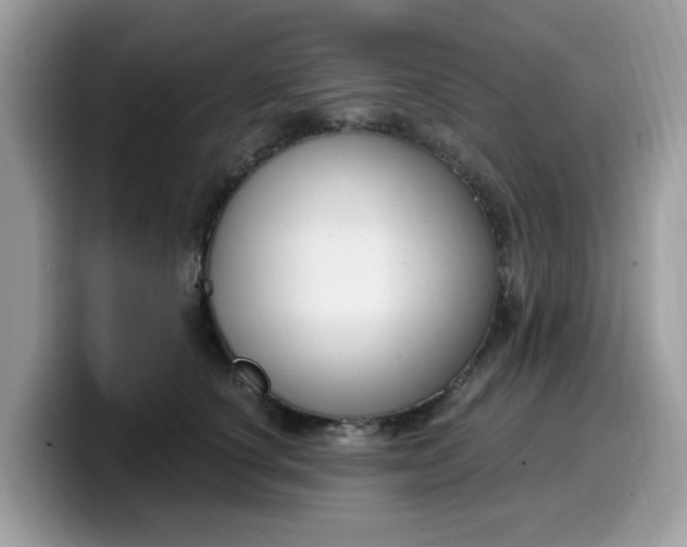 X0000099580660200805301600