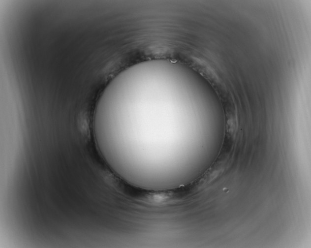 X0000099580662200805301600