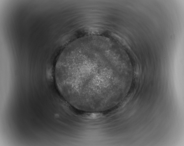 X0000099580663200805301600