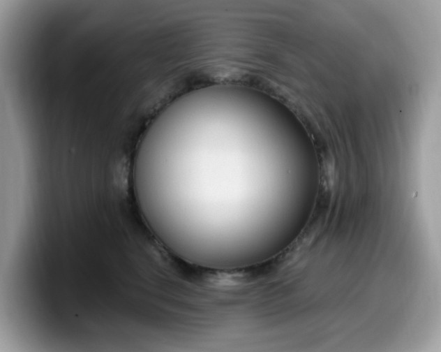 X0000099580664200805301600